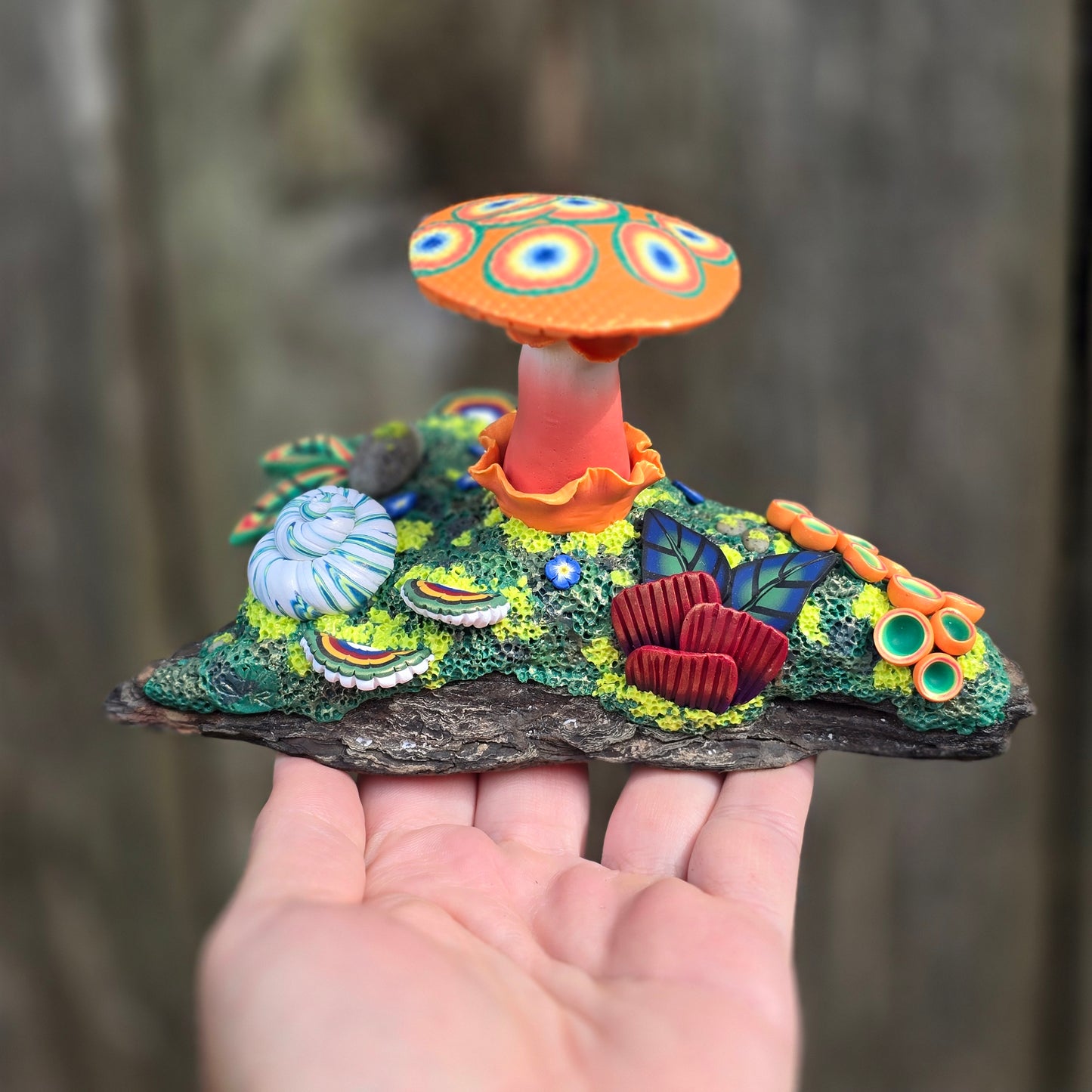 Fungi Forest