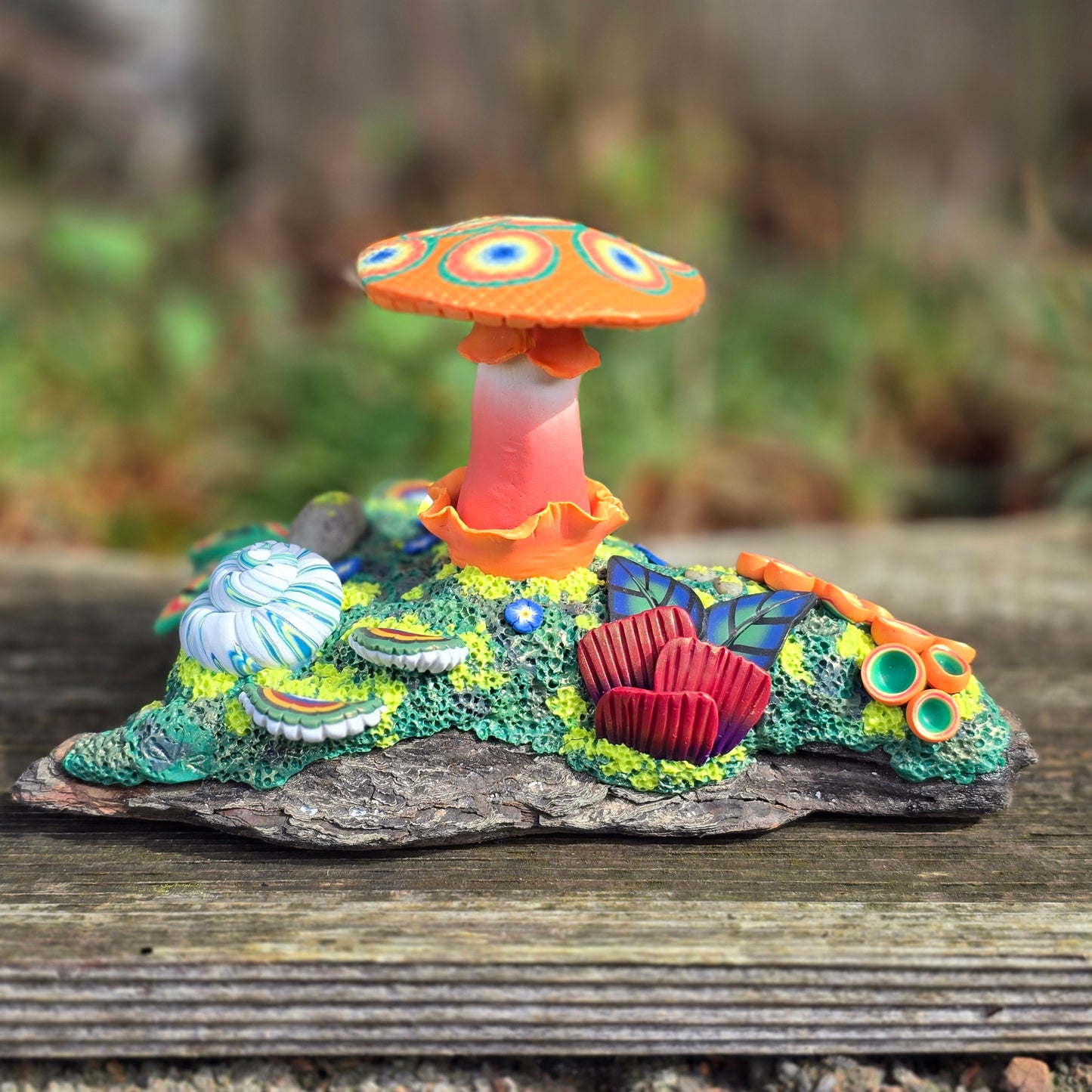 Fungi Forest