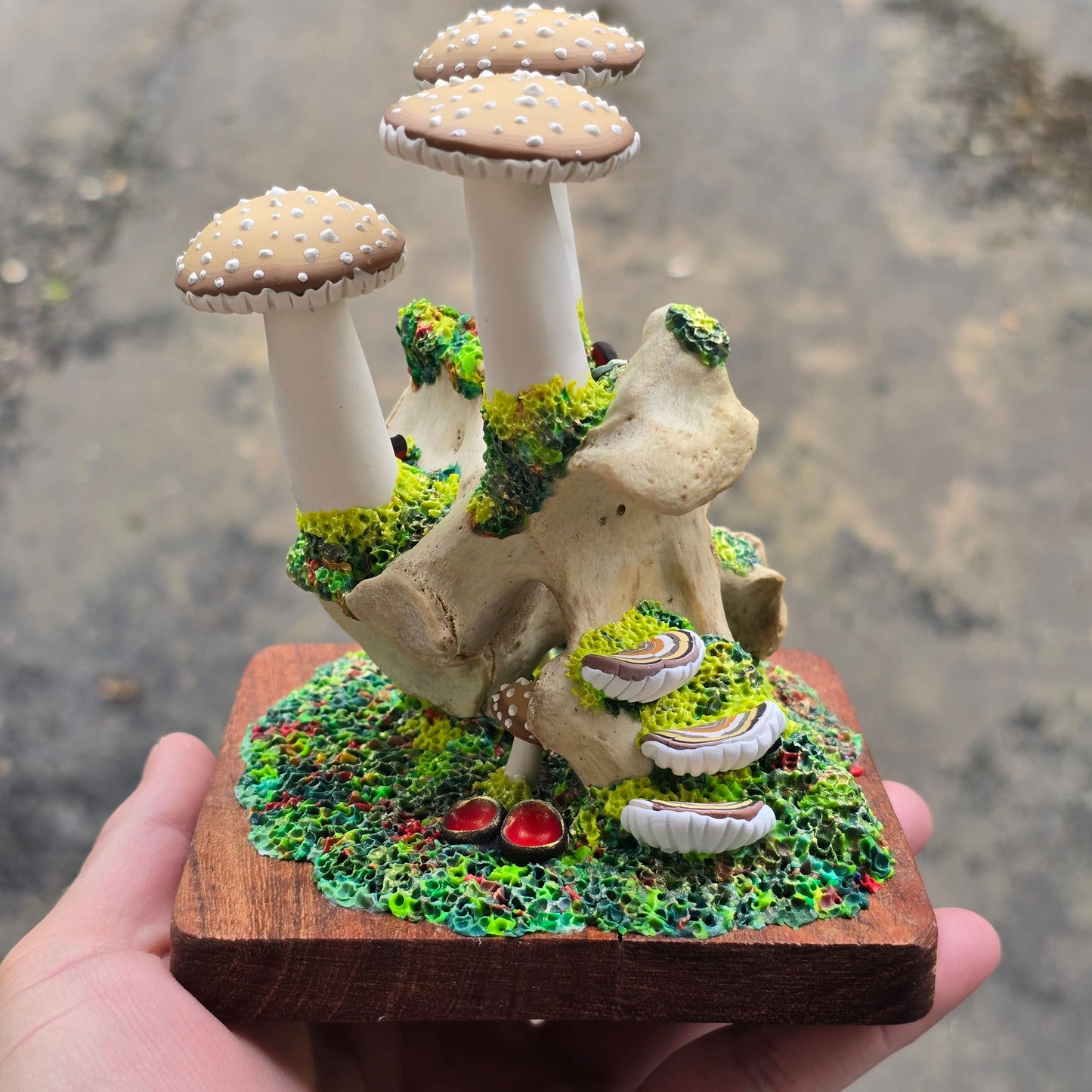 Forest Grown
