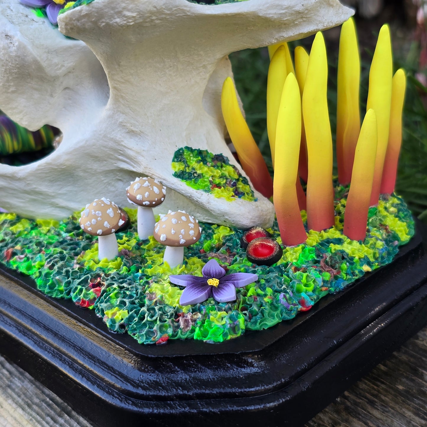 Caterpillar Cavern