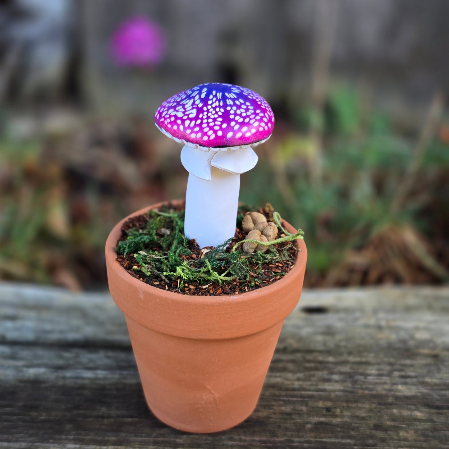 Potted Mushrooms