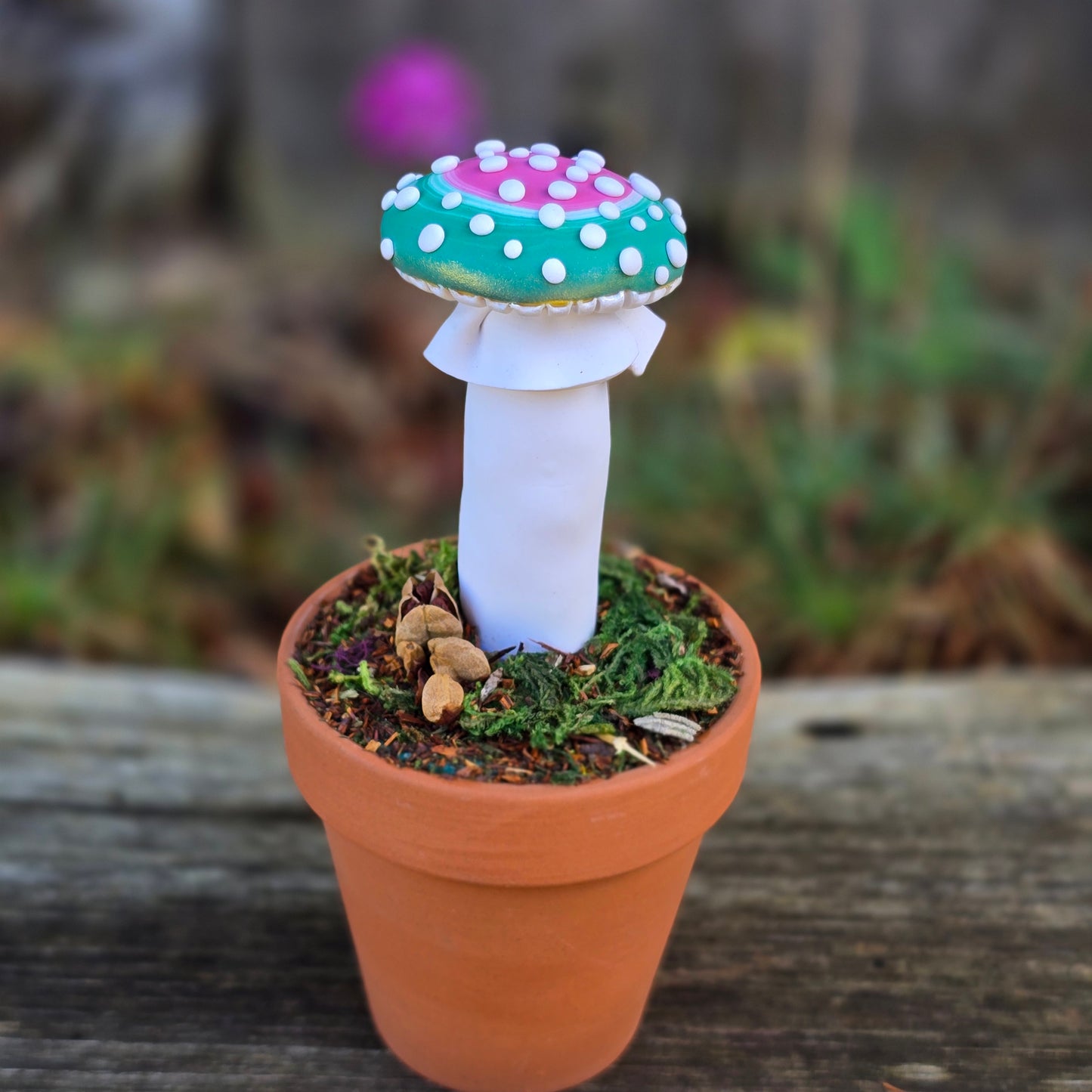 Potted Mushrooms