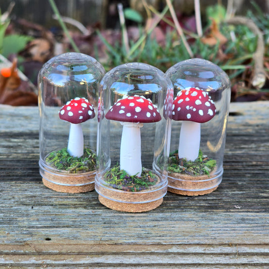 Amanita Muscaria, miniature toadstool