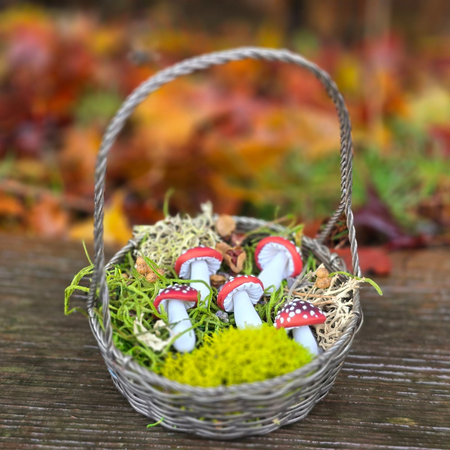 Mushroom Foraging Basket