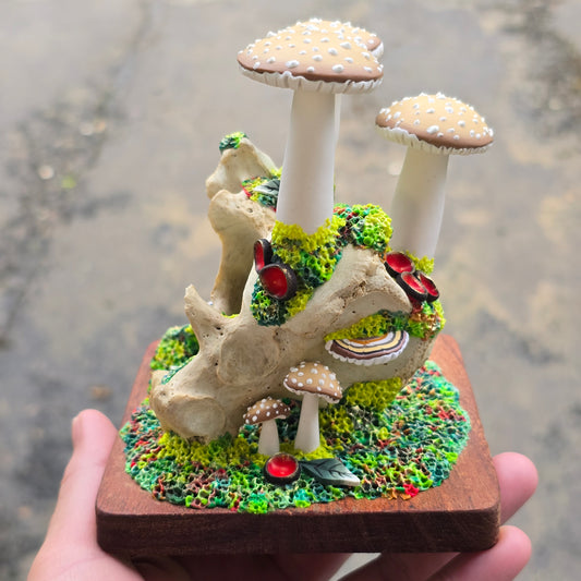 Forest Grown