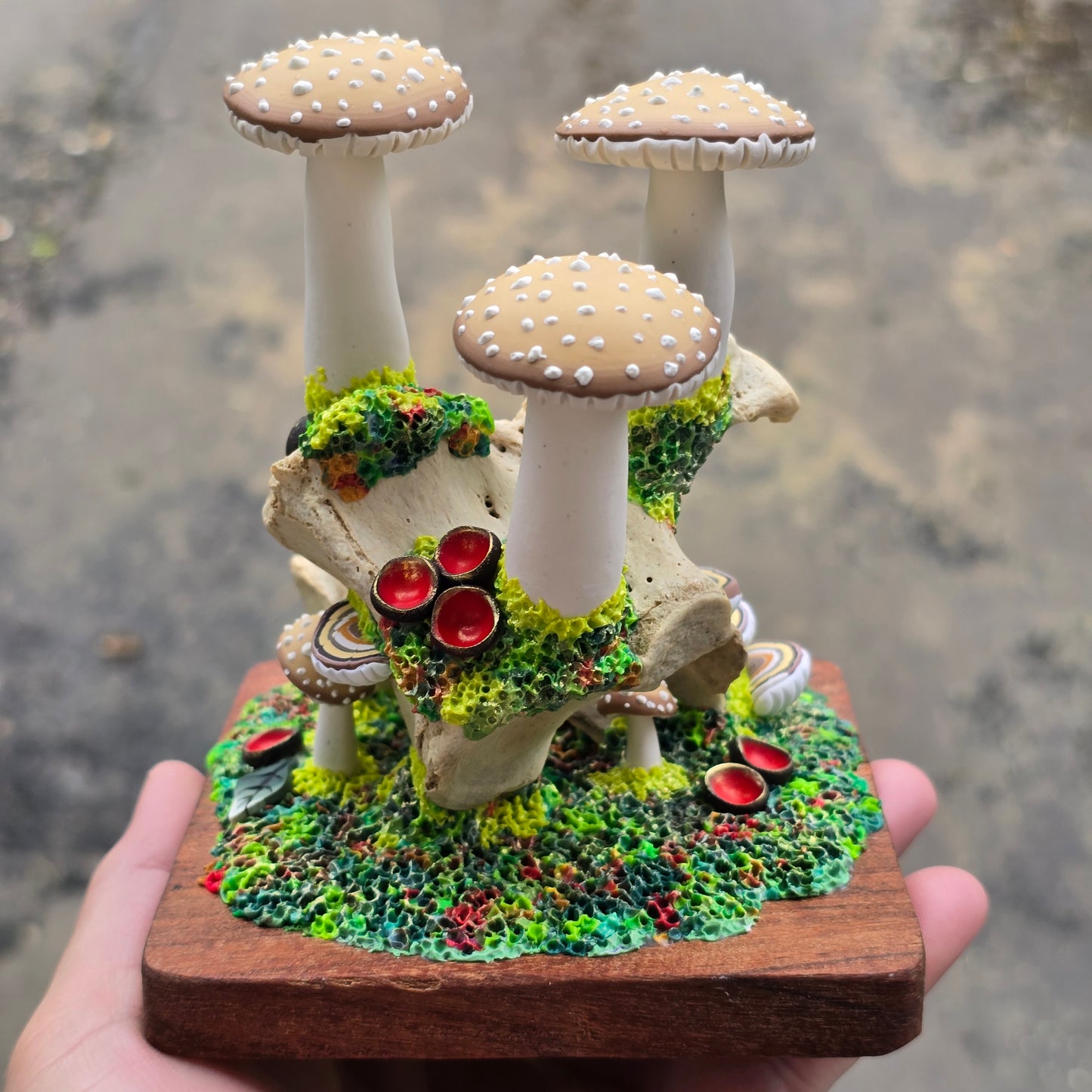 Forest Grown