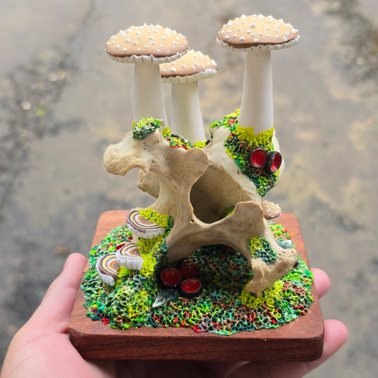 Forest Grown