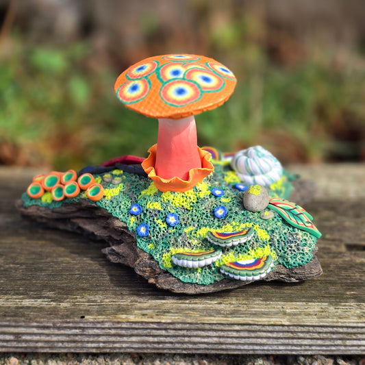 Fungi Forest